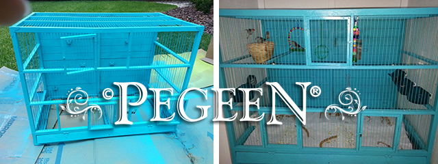 Antique Finch Cage- Pegeen Finishes by Pegeen.com